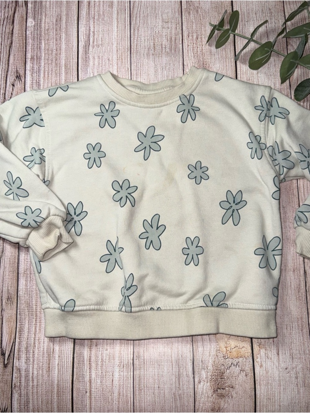 Zara | Sweatshirt
